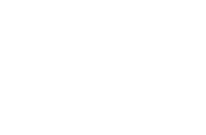 AAA Auto